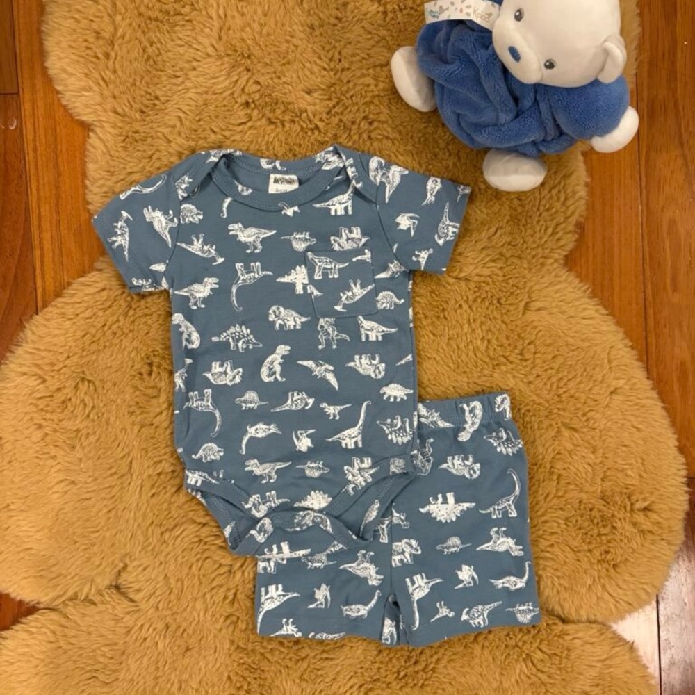 Blue and White Dinosaur Matching Set with dinos 🦖